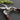 Thai Kitchen & Garden Shears