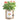 Garden in a Bag | Thank You | Best Seller