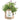 Garden in a Bag | Happy Birthday