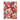 Red Poinsettia - Holiday Card