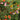 Garden Sprinkles | Wildflowers | Best Seller
