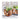 Eco Coco Seed Starter Pot Small Set Of 3 - Natural