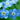 Garden Sprinkles | It's a Boy! | Shower Favor