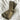 Her Socks - Mercerized Combed Cotton Rib: Pesto