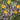 Scatter Garden | Fragrant Flower | Spring: Fragrant Flower