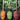 The Pesto Cookbook