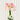 Amaryllis Bulb- Hand Painted Hydrangea Blue and Pink