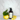 Parabello Hand and Body Soap | LEMONGRASS