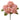 Hydrangea Bush Pink | 18"