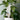 Hug Plant Support Stake - Houseplant Home decor