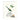 Party Frogs - Birthday Card