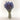 Dark Blue Lavender Bundle– Naturally Dried Florals