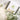 Garden Maker | Culinary Herbs