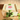 Zinnia Cutting Garden Box