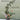 Ikebana Unbound